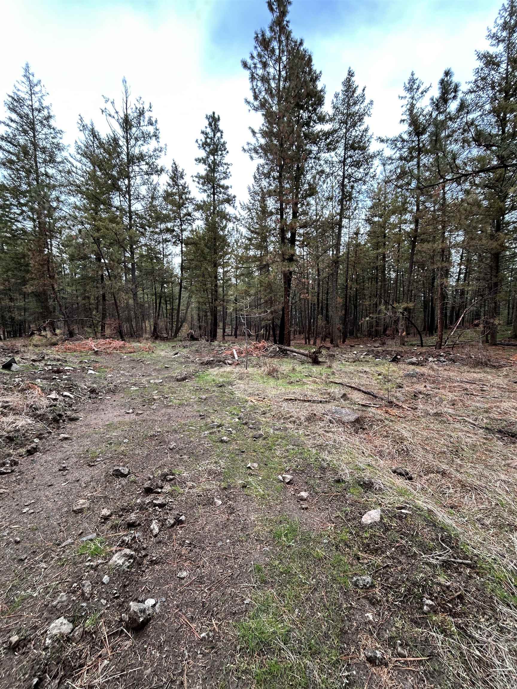 Xxx Coyote Ridge Ln Ford Ford, WA 99013 - Photo 32 of 42