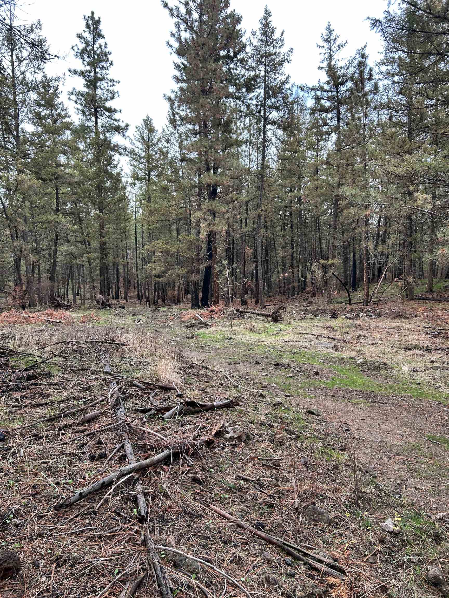 Xxx Coyote Ridge Ln Ford Ford, WA 99013 - Photo 33 of 42