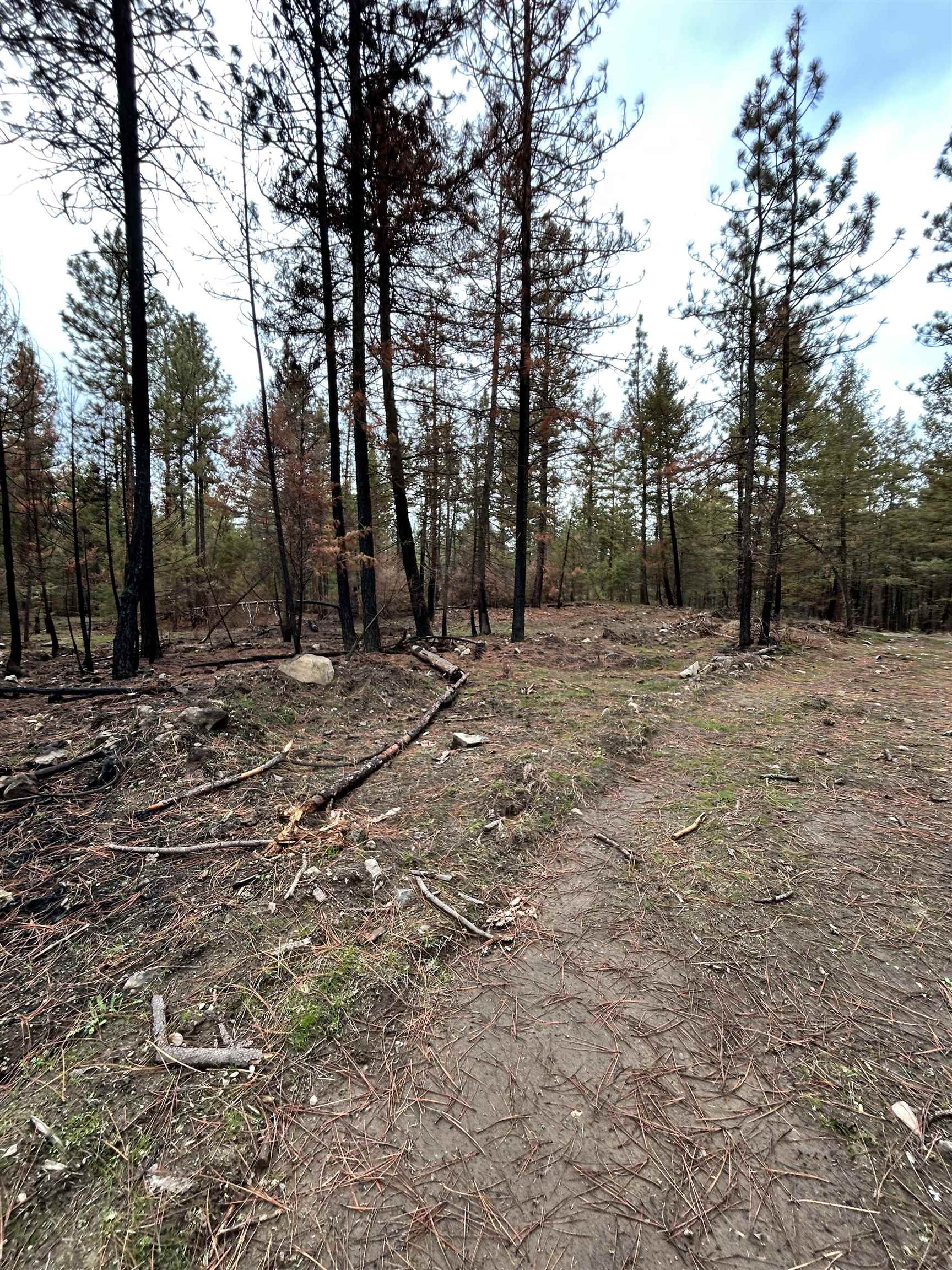 Xxx Coyote Ridge Ln Ford Ford, WA 99013 - Photo 34 of 42