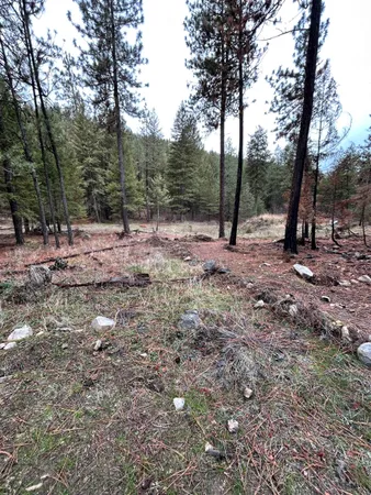 $99,500 | Xxx Coyote Ridge Ln Ford, Ford, WA 99013