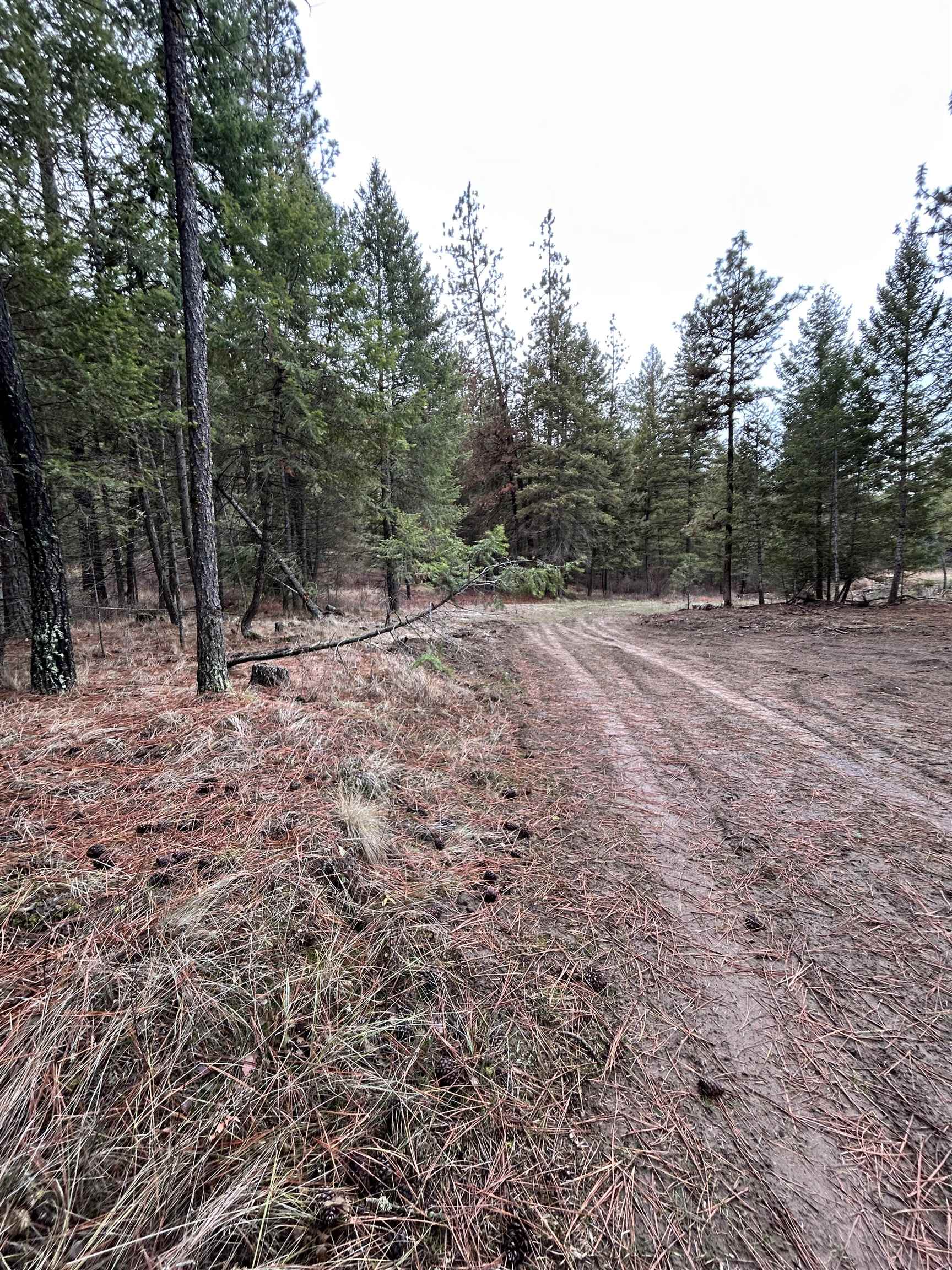 Xxx Coyote Ridge Ln Ford Ford, WA 99013 - Photo 37 of 42