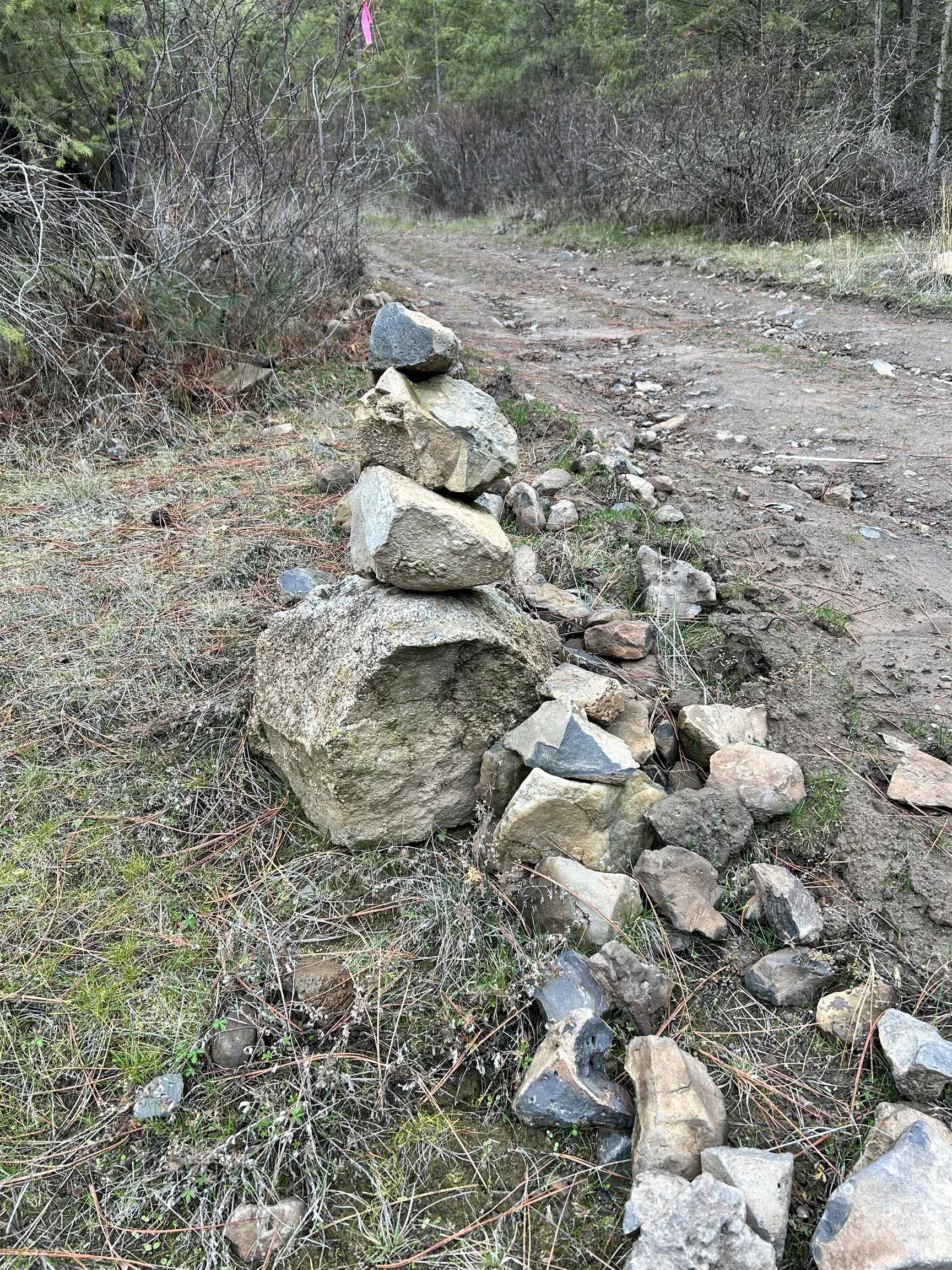 Xxx Coyote Ridge Ln Ford Ford, WA 99013 - Photo 38 of 42