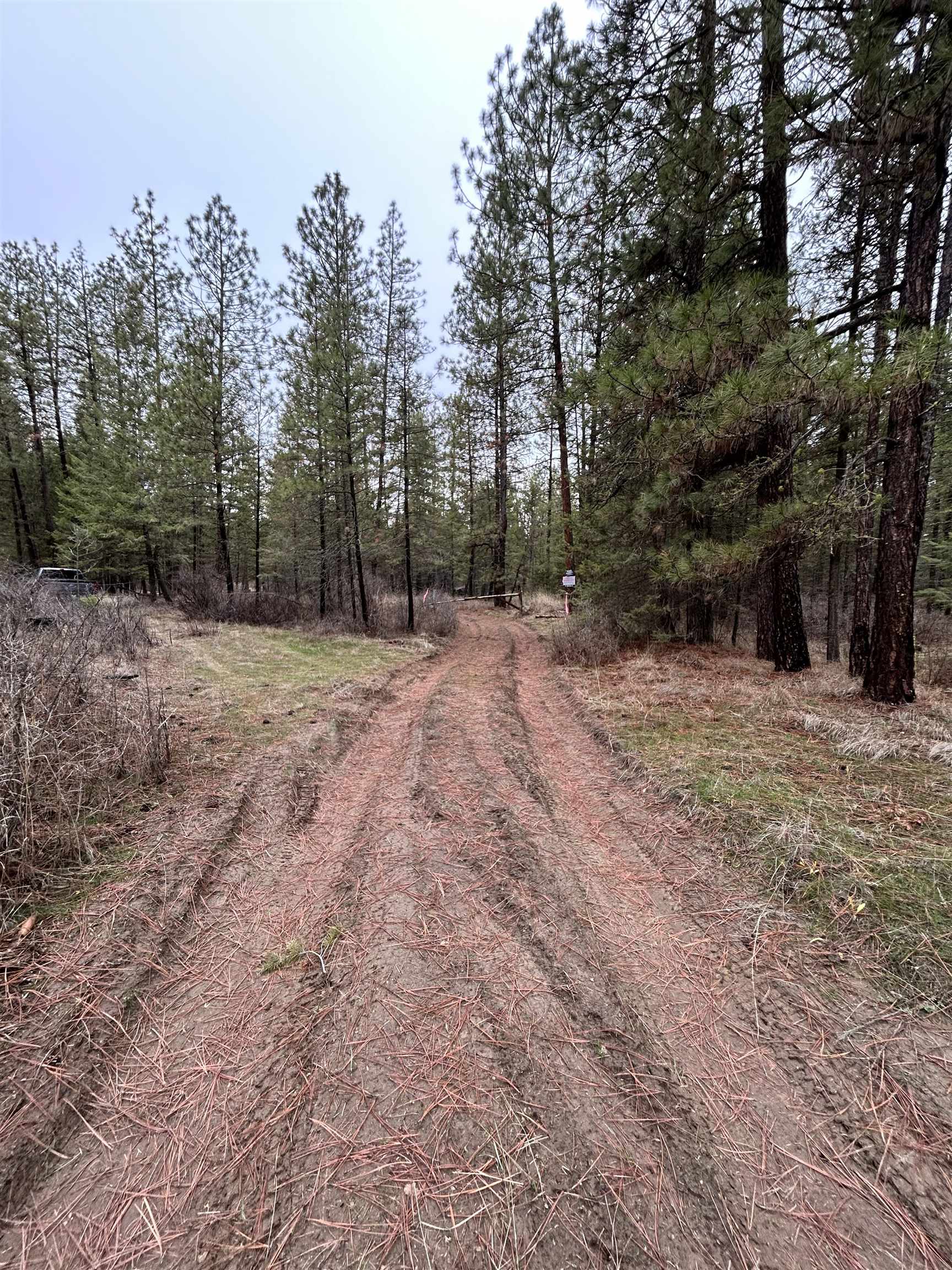 Xxx Coyote Ridge Ln Ford Ford, WA 99013 - Photo 40 of 42