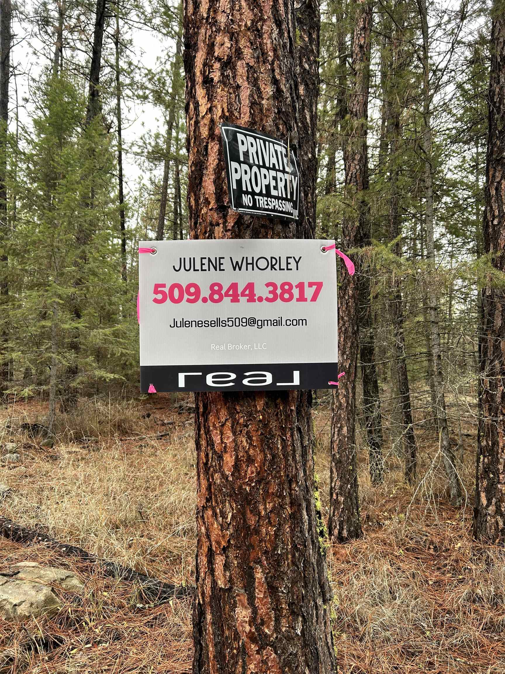 Xxx Coyote Ridge Ln Ford Ford, WA 99013 - Photo 42 of 42