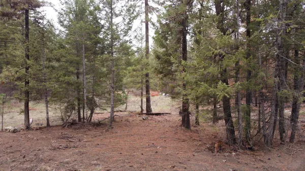 $99,500 | Xxx Coyote Ridge Ln Ford, Ford, WA 99013