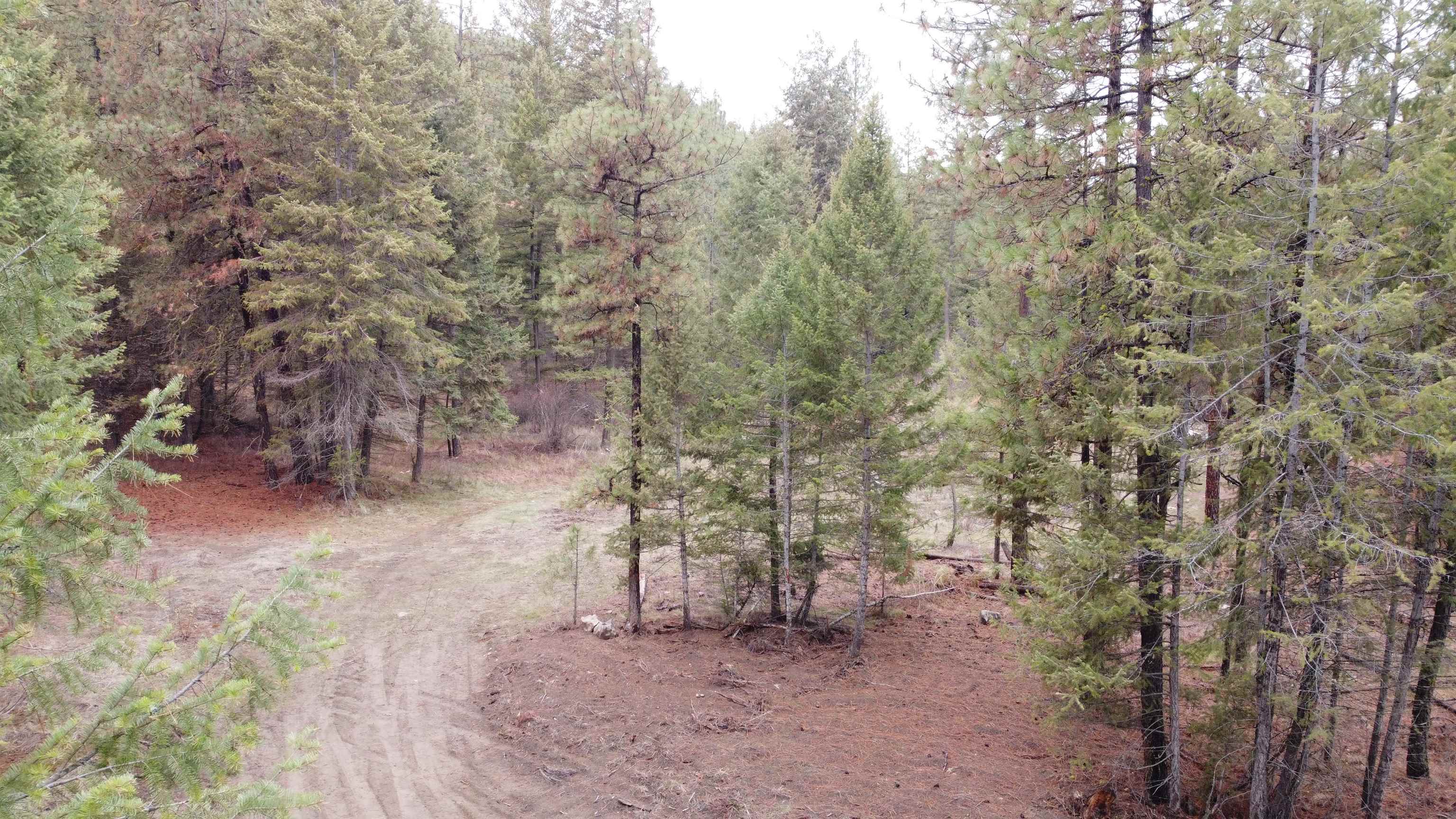 Xxx Coyote Ridge Ln Ford Ford, WA 99013 - Photo 9 of 42