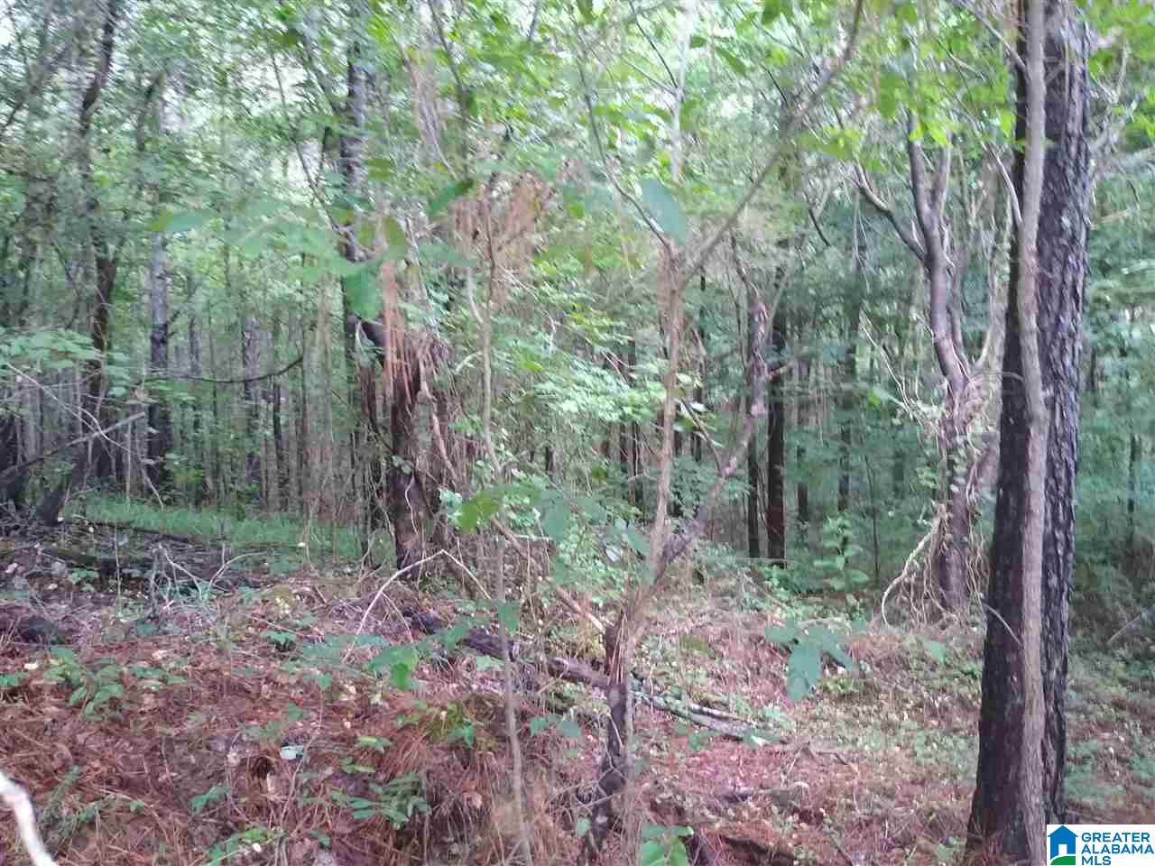 2700 Elvester Road, Unit 29 ACRES Warrior, AL 35180 - Photo 20 of 25 Gallery Image 20