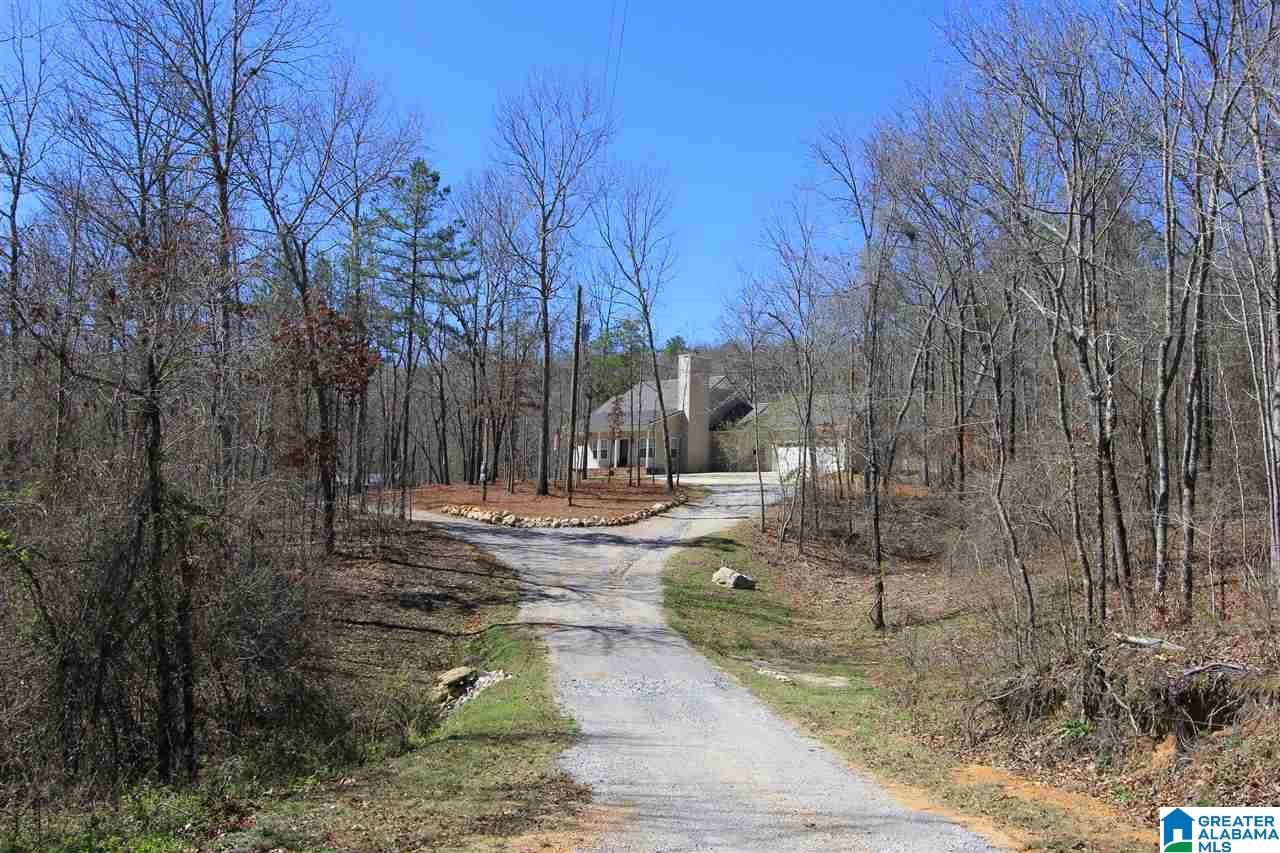 664 Mill Branch Road Jacksonville, AL 36265 - Photo 43 of 50