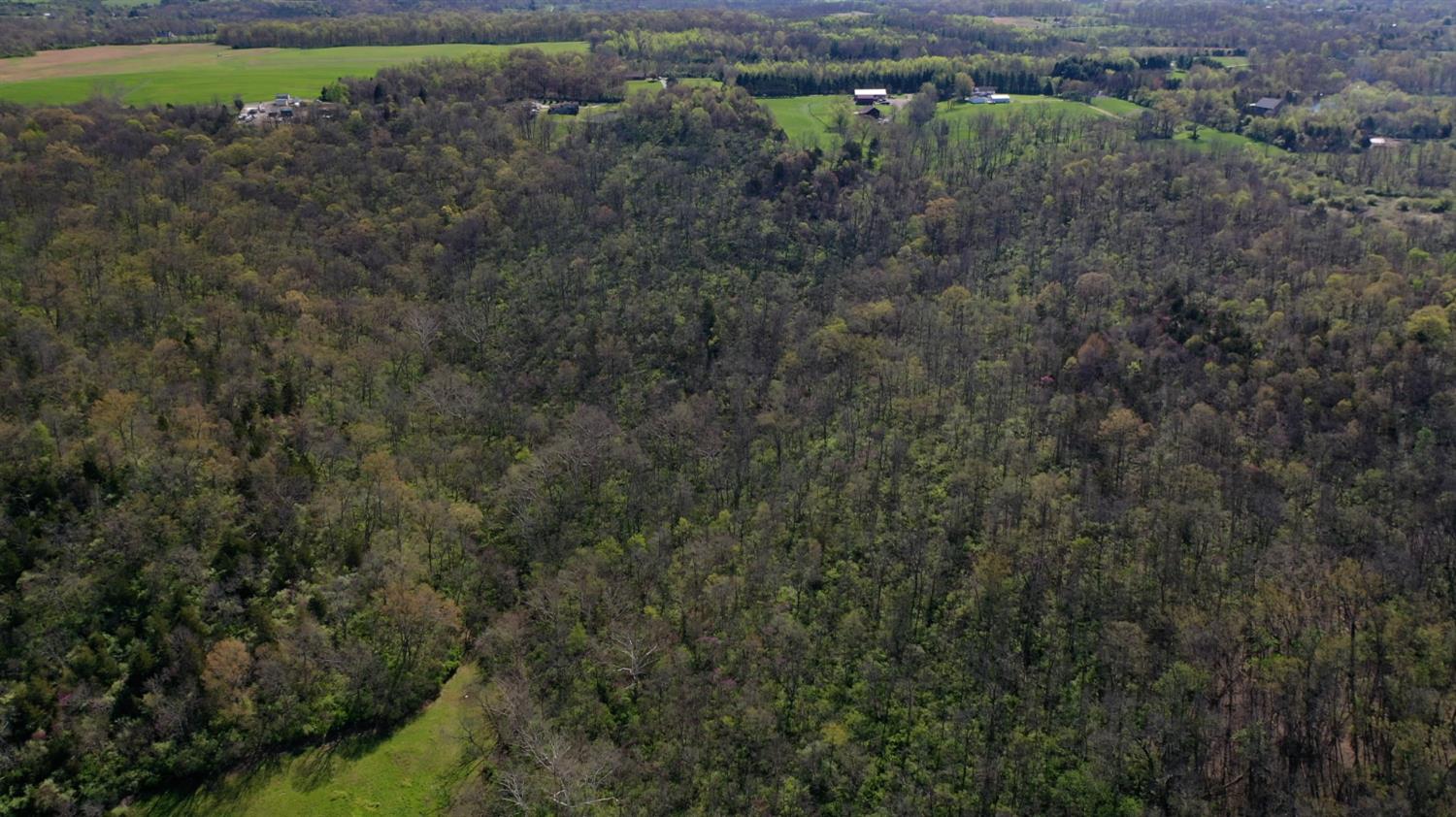 0 Seeley Road West Harrison, IN 47060 - Photo 5 of 6