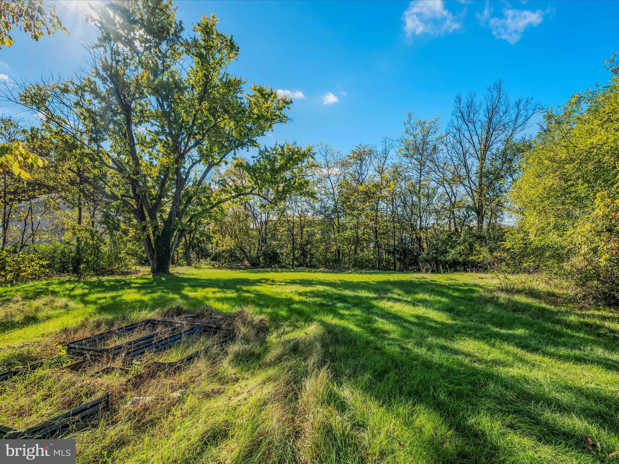 9872 Winchester Avenue Bunker Hill, WV 25413 - Photo 36 of 46 a view of a grassy field with trees