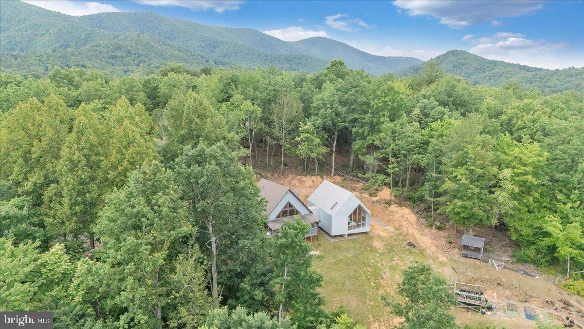 722 Foley Ridge Road Stuart, VA 24171 - Photo 61 of 67 Serene mountain retreat in lush greenery.