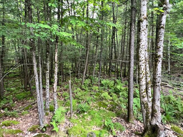 5 Pine Circle Standish, ME 04084 - Photo 37 of 42 IMG_3998