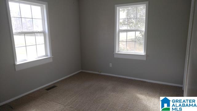 975 Cook Springs Road Odenville, AL 35120 - Photo 20 of 28