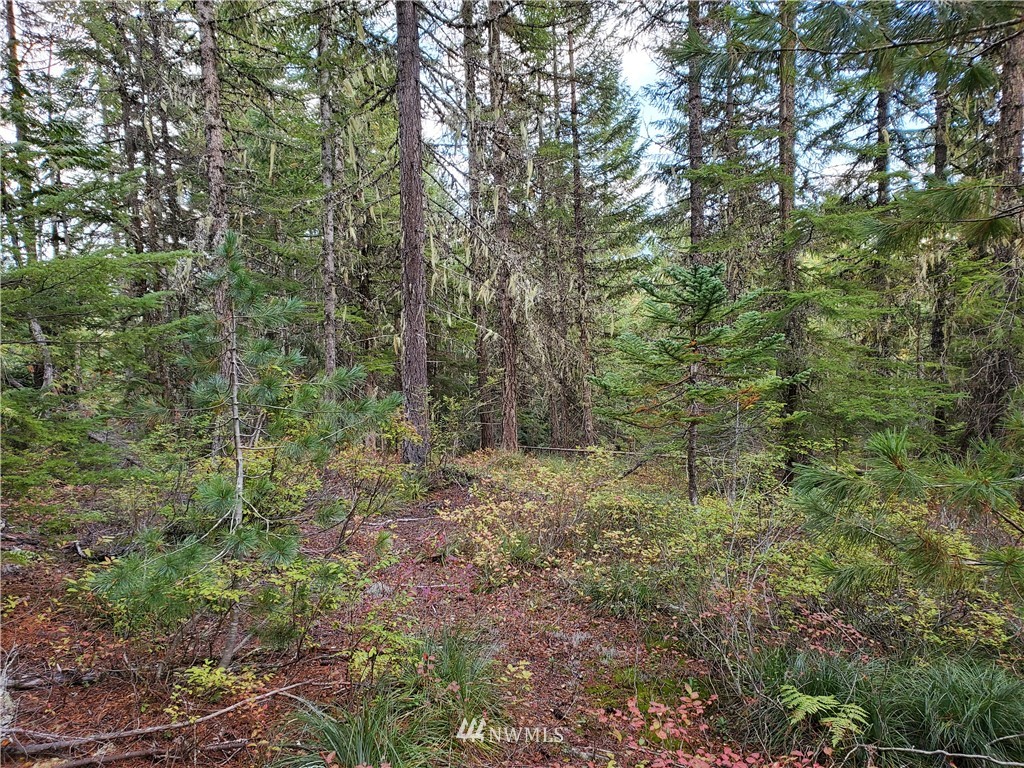 51 Dandy Pass Road Easton, WA 98925 - Photo 12 of 19 Gallery Image 12
