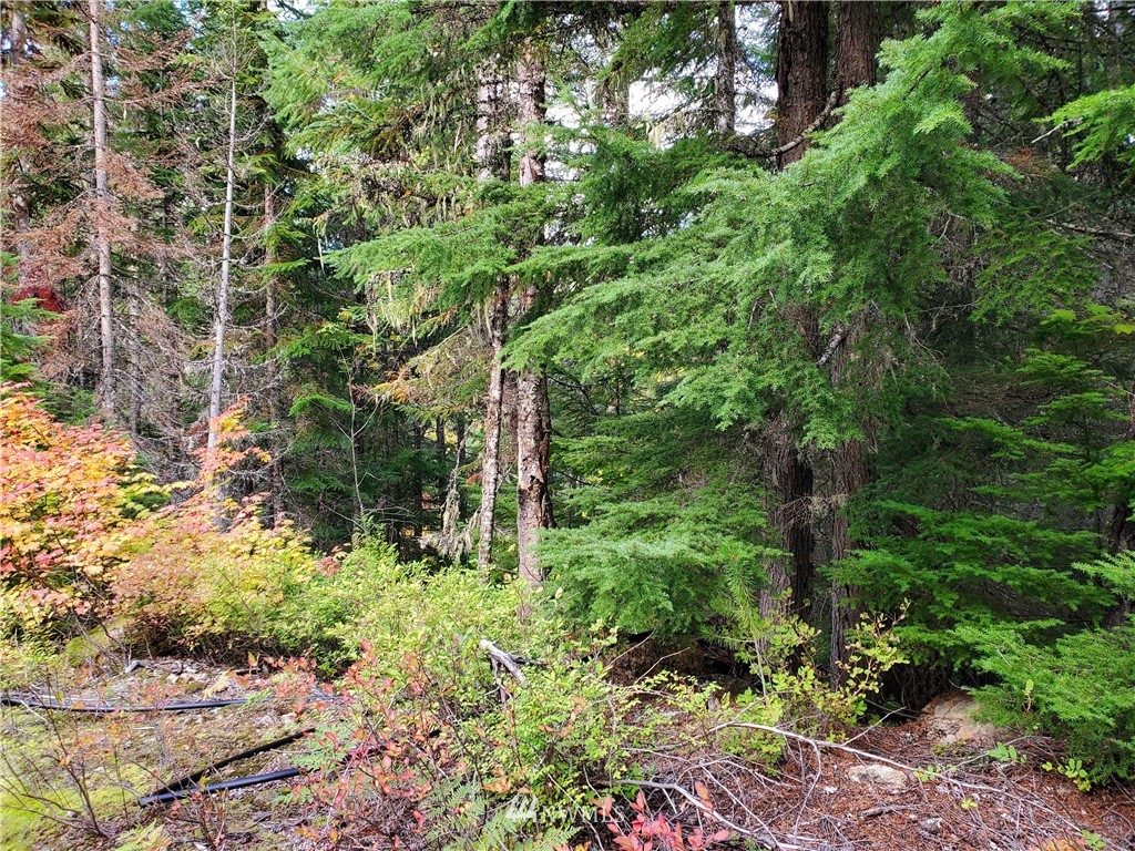 51 Dandy Pass Road Easton, WA 98925 - Photo 13 of 19 Gallery Image 13