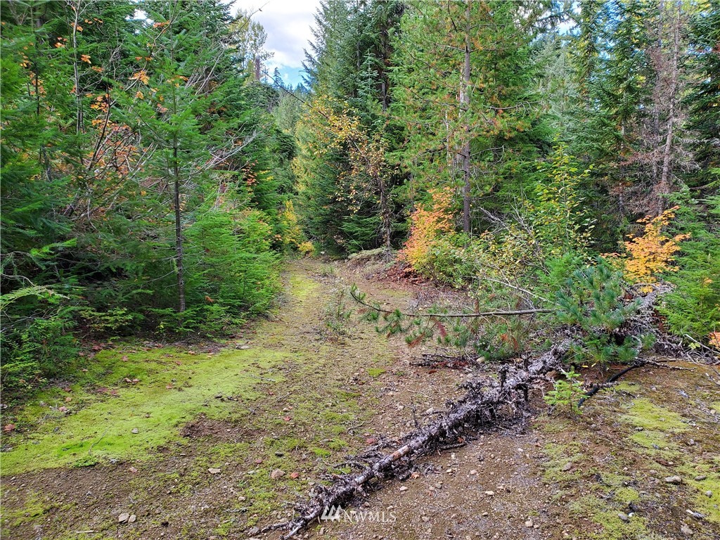51 Dandy Pass Road Easton, WA 98925 - Photo 15 of 19 Gallery Image 15