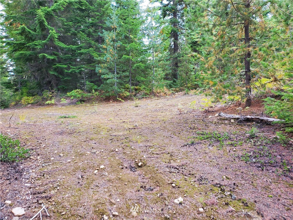 51 Dandy Pass Road Easton, WA 98925 - Photo 18 of 19 Gallery Image 18