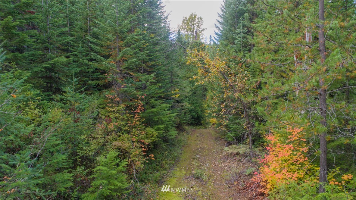 51 Dandy Pass Road Easton, WA 98925 - Photo 6 of 19 Gallery Image 6