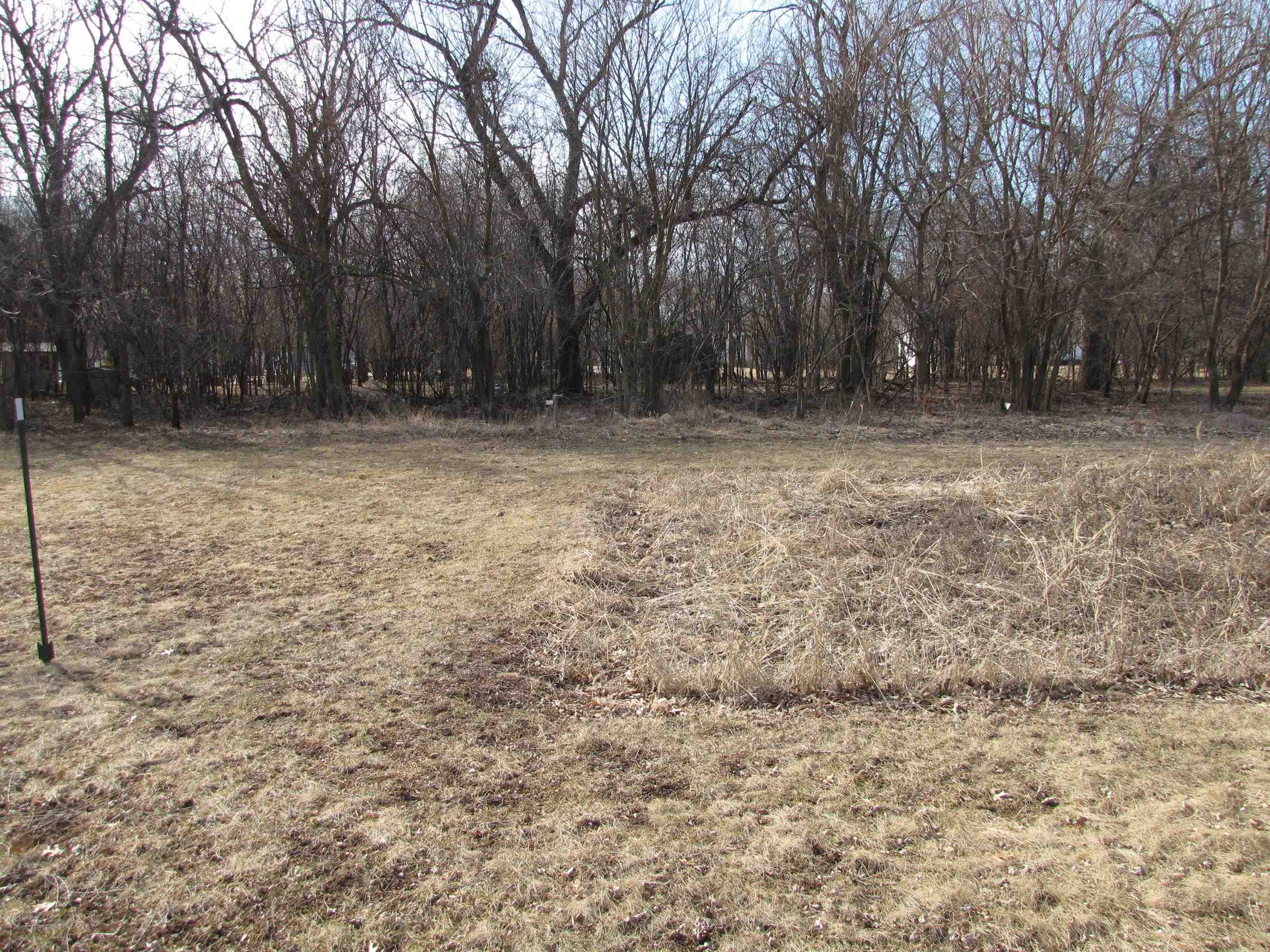 Lot 2 North Elm Edgerton, WI 53534 - Photo 6 of 12