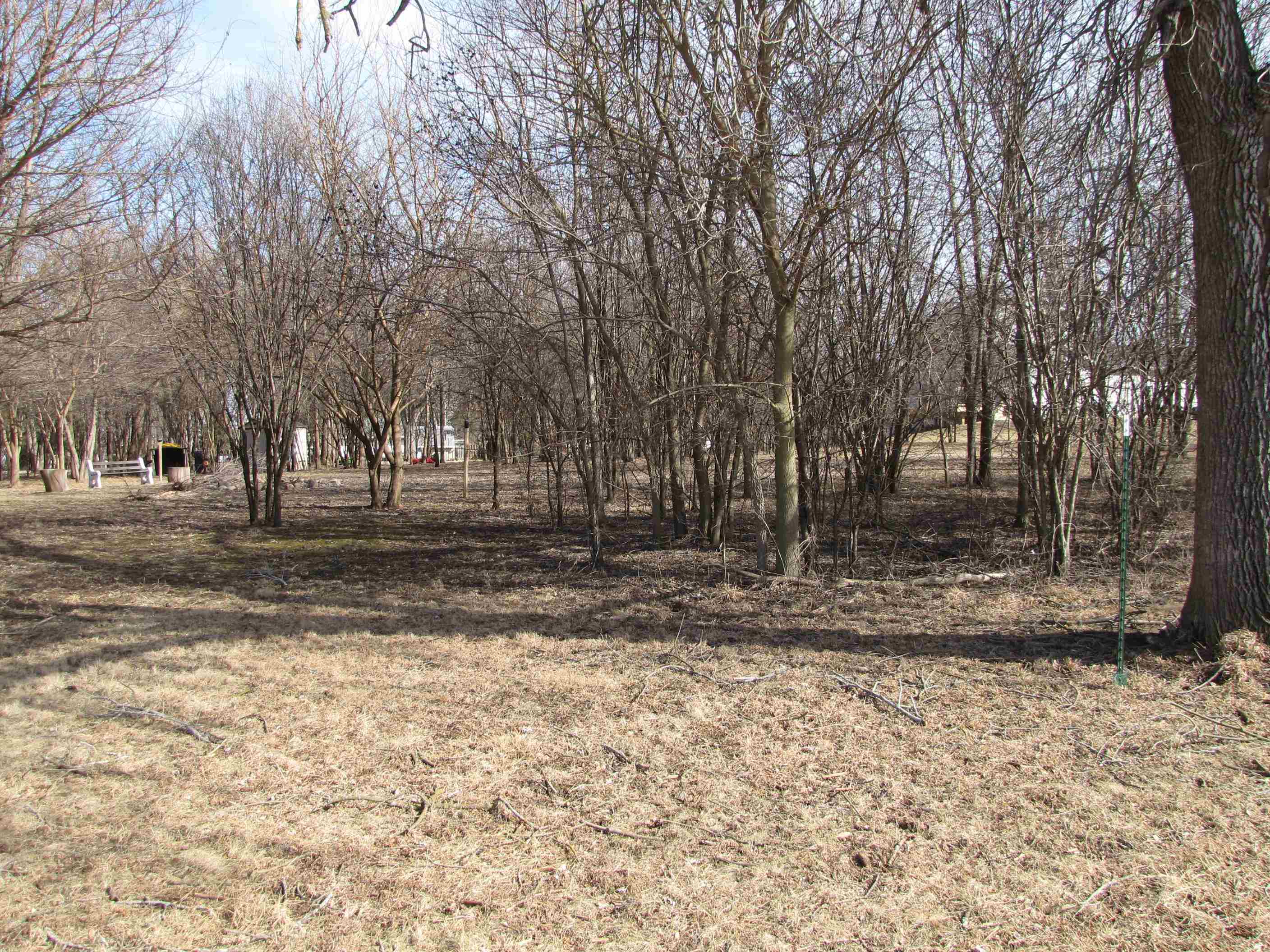 Lot 2 North Elm Edgerton, WI 53534 - Photo 9 of 12