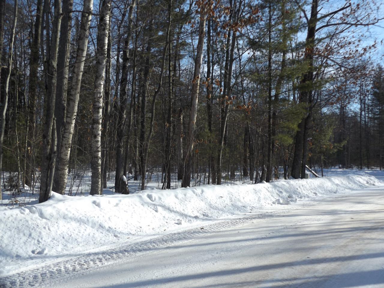 Three O Neil Road, Unit LOT #15 Eagle River, WI 54521 - Photo 4 of 16 Gallery Image 4