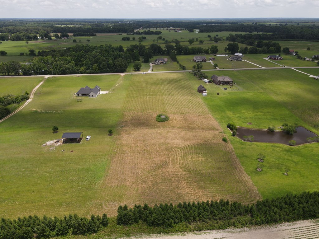 0 County Road 39 Road Headland, AL 36345 - Photo 3 of 7