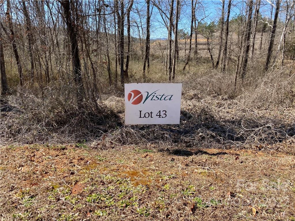 0 Bridge Lane, Unit 43 Tryon, NC 28782 - Photo 2 of 10