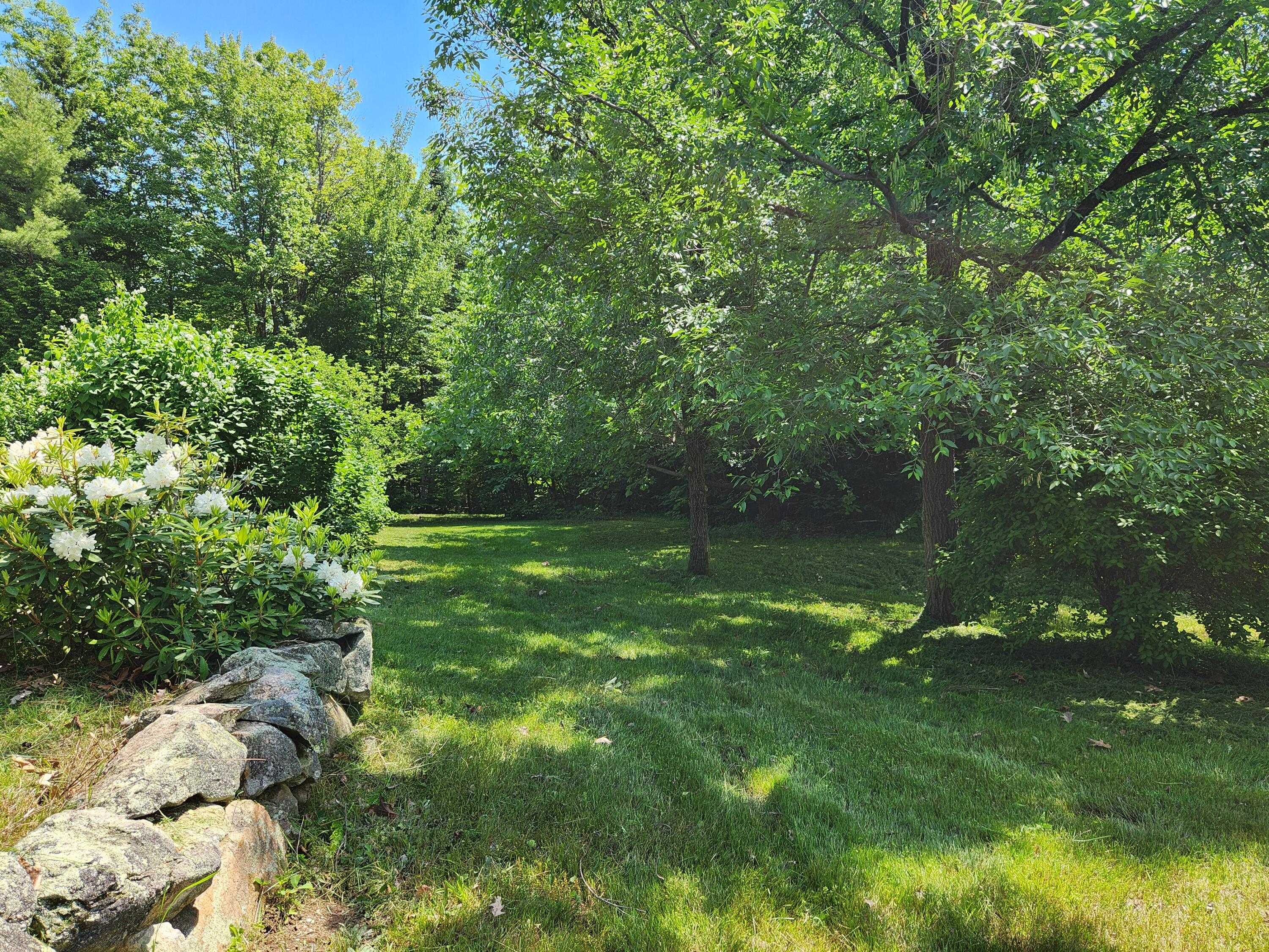666 Stow Road Stow, ME 04037 - Photo 8 of 57 side yard
