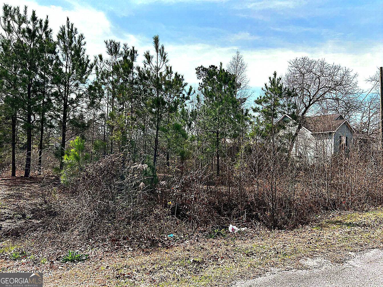 218 Jason Way Macon, GA 31216 - Photo 2 of 3 a view of a yard with a tree
