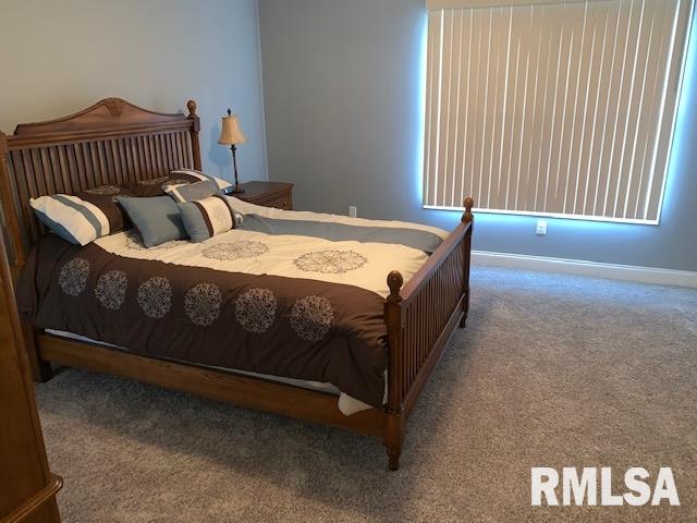 17 Forest Ridge Springfield, IL 62712 - Photo 38 of 50 Gallery Image 38
