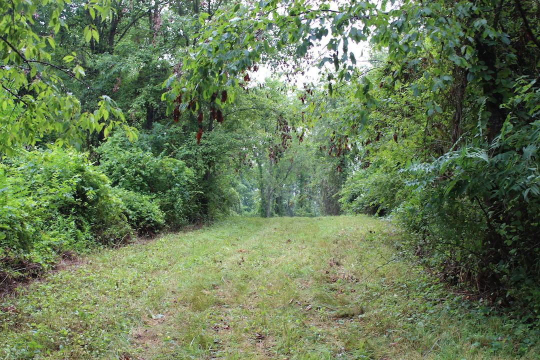 0 Erwin Road Jackson, OH 45640 - Photo 13 of 16