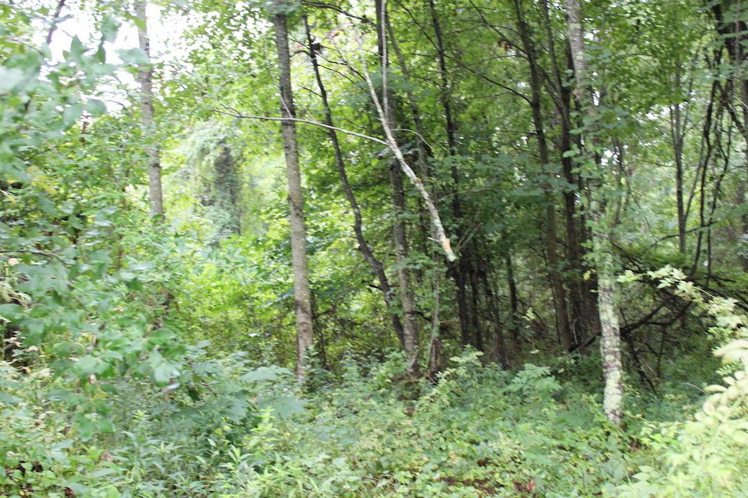 0 Erwin Road Jackson, OH 45640 - Photo 15 of 16