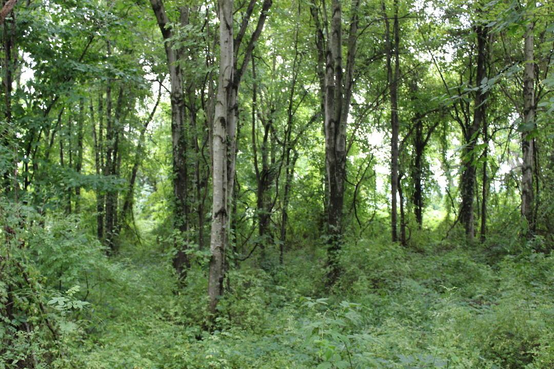 0 Erwin Road Jackson, OH 45640 - Photo 16 of 16