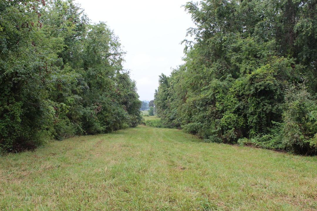 0 Erwin Road Jackson, OH 45640 - Photo 2 of 16