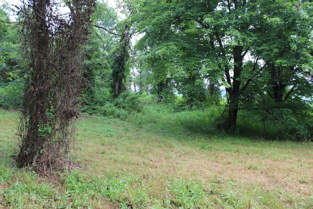 0 Erwin Road Jackson, OH 45640 - Photo 3 of 16