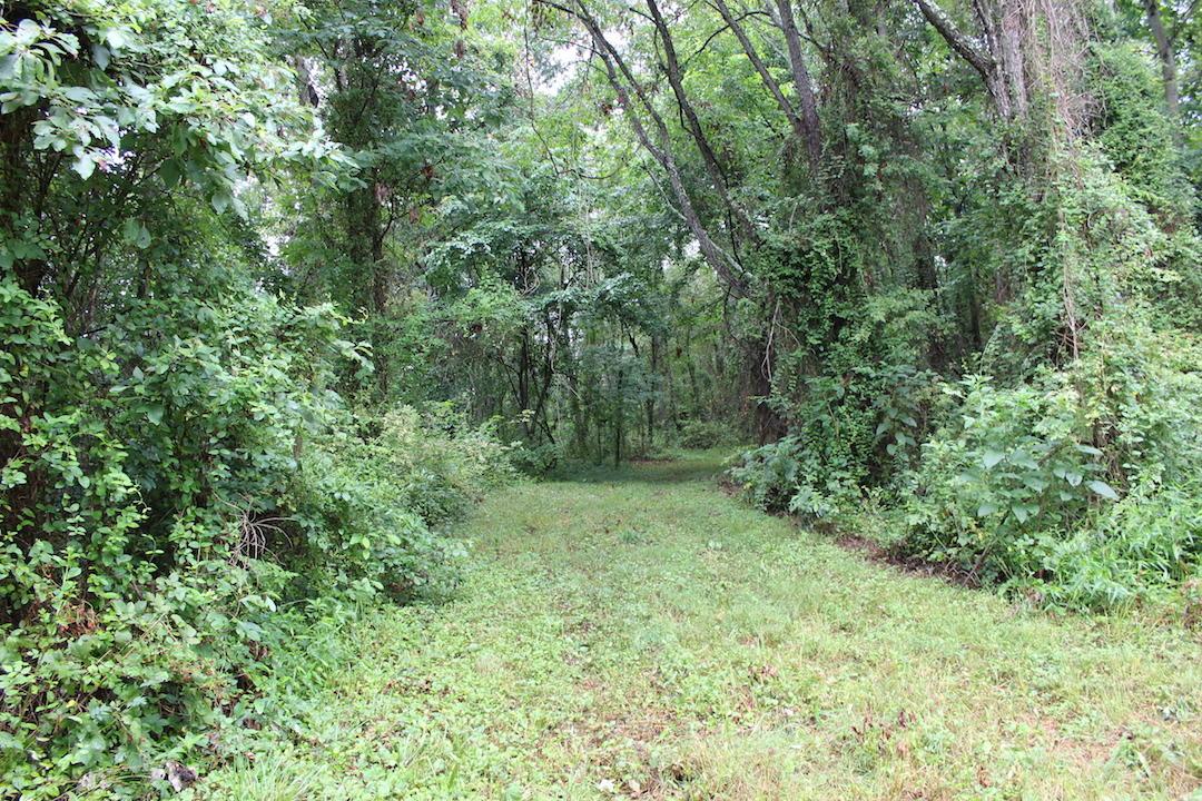 0 Erwin Road Jackson, OH 45640 - Photo 4 of 16