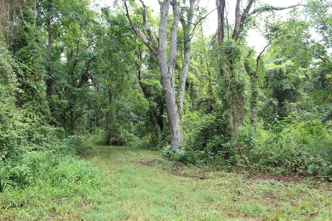 0 Erwin Road Jackson, OH 45640 - Photo 5 of 16