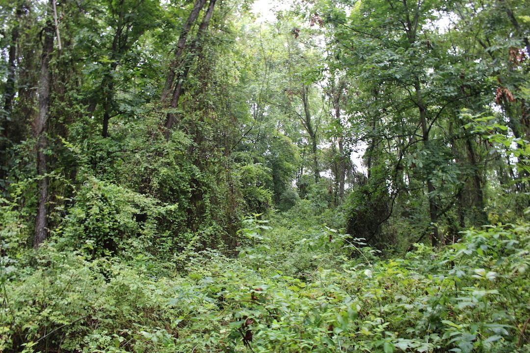0 Erwin Road Jackson, OH 45640 - Photo 6 of 16