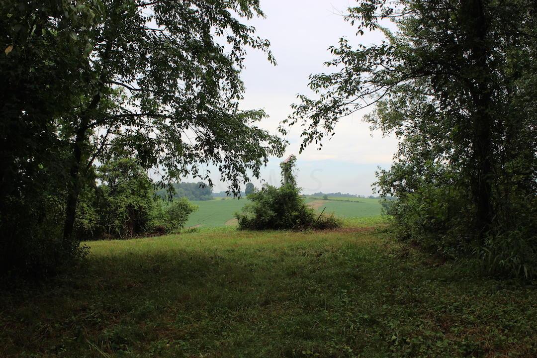 0 Erwin Road Jackson, OH 45640 - Photo 8 of 16