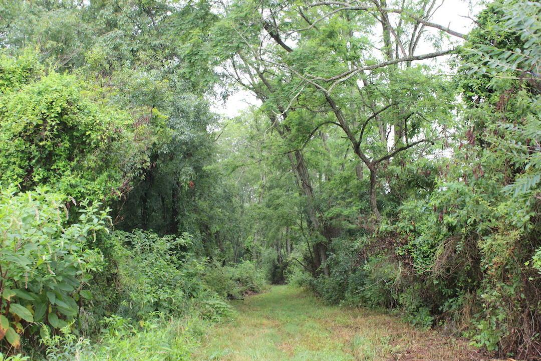 0 Erwin Road Jackson, OH 45640 - Photo 9 of 16