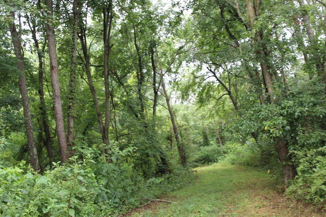 0 Erwin Road Jackson, OH 45640 - Photo 10 of 16
