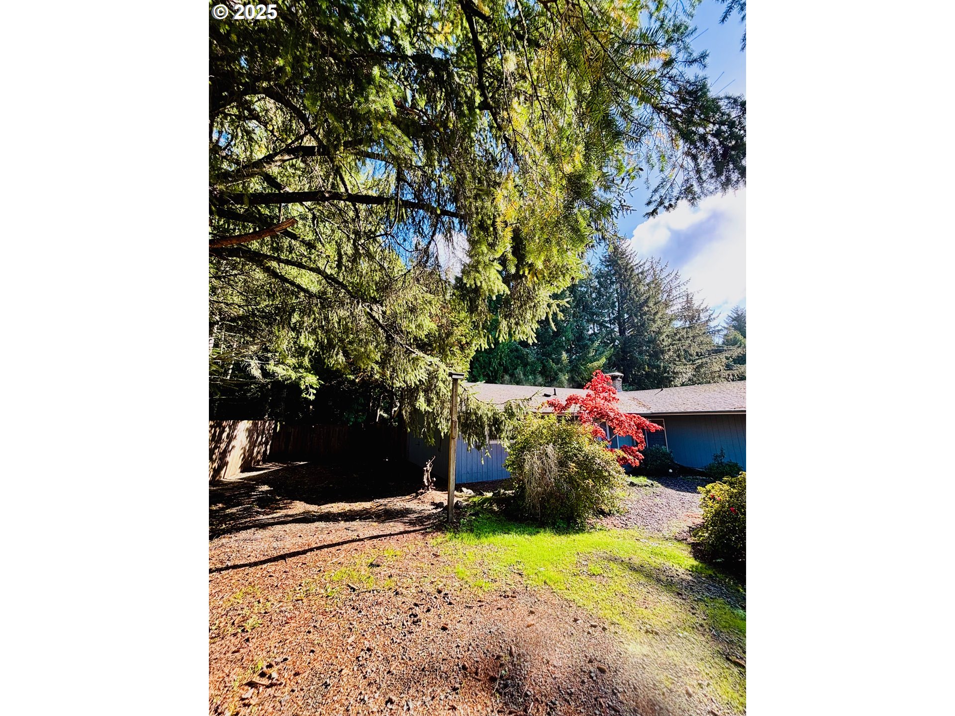 3314 Munsel Lake Road Florence, OR 97439 - Photo 3 of 29 a view of a outdoor space