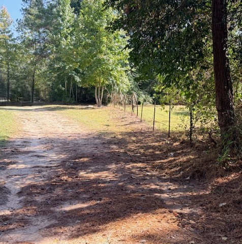 1705 Spring Ridge Road Coldspring, TX 77331 - Photo 4 of 26 a view of a yard with trees
