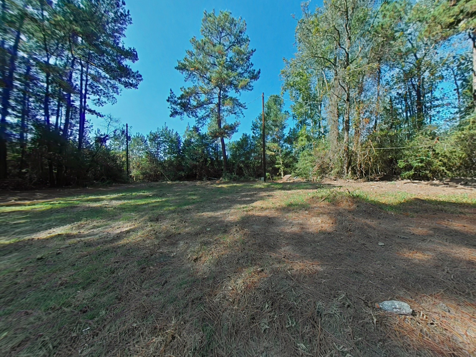 1705 Spring Ridge Road Coldspring, TX 77331 - Photo 6 of 26 a view of a grassy field with trees