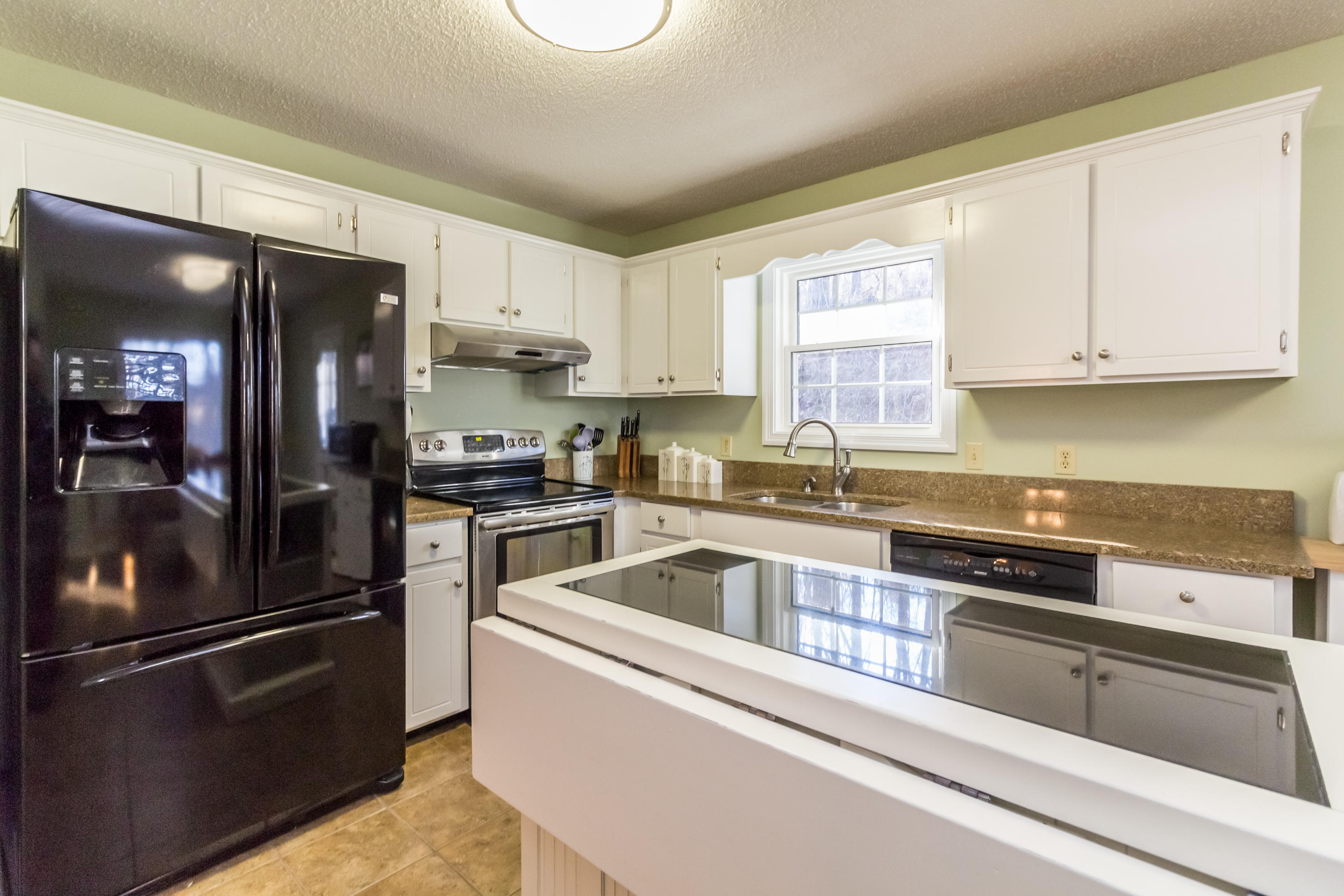 6110 Pythian Road Harrison, TN 37341 - Photo 8 of 30 Kitchen