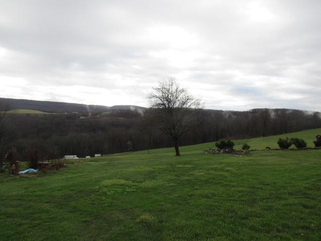 273 Odonnal Road Mill Run, PA 15464 - Photo 6 of 19 a view of an outdoor space and yard