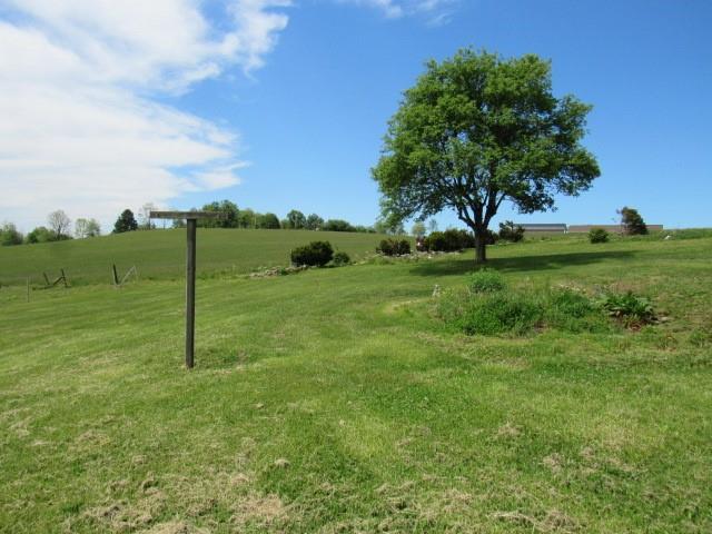 273 Odonnal Road Mill Run, PA 15464 - Photo 7 of 19 a view of a garden with a tree