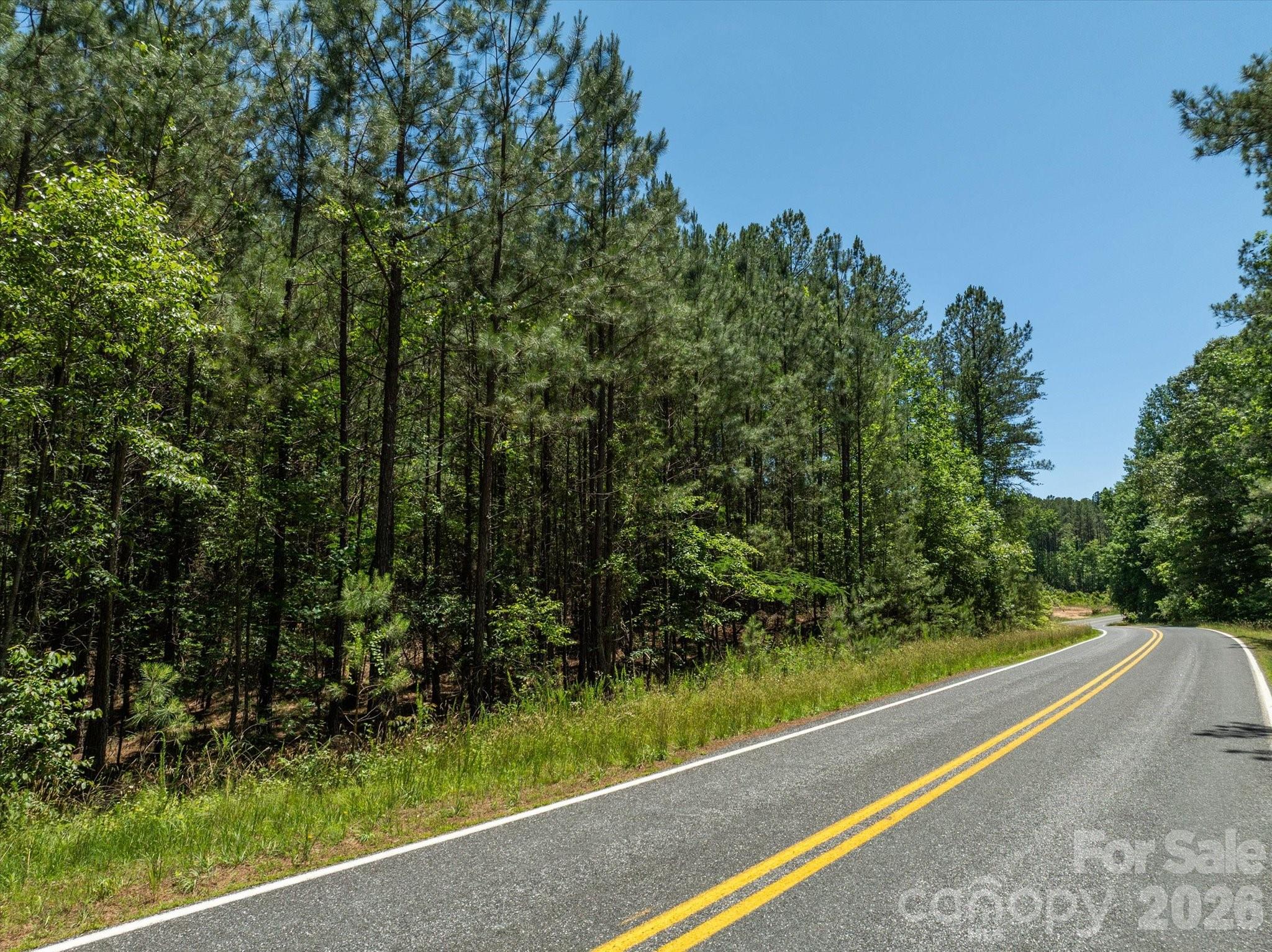 9999 Clark Road Rutherfordton, NC 28139 - Photo 3 of 19