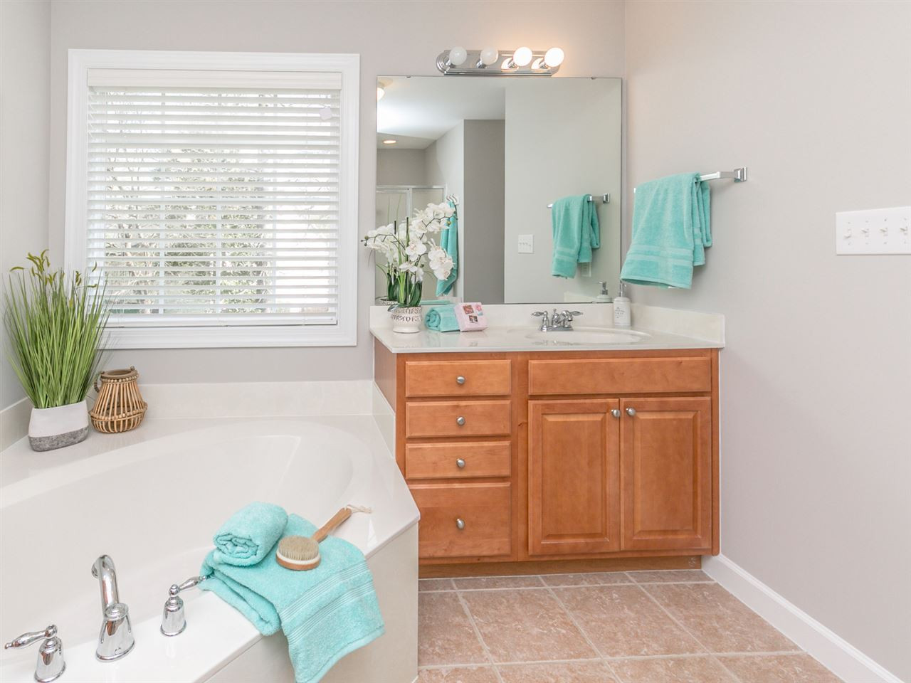 11908 Deneb Court Raleigh, NC 27614 - Photo 14 of 24 Master Bath/Spa