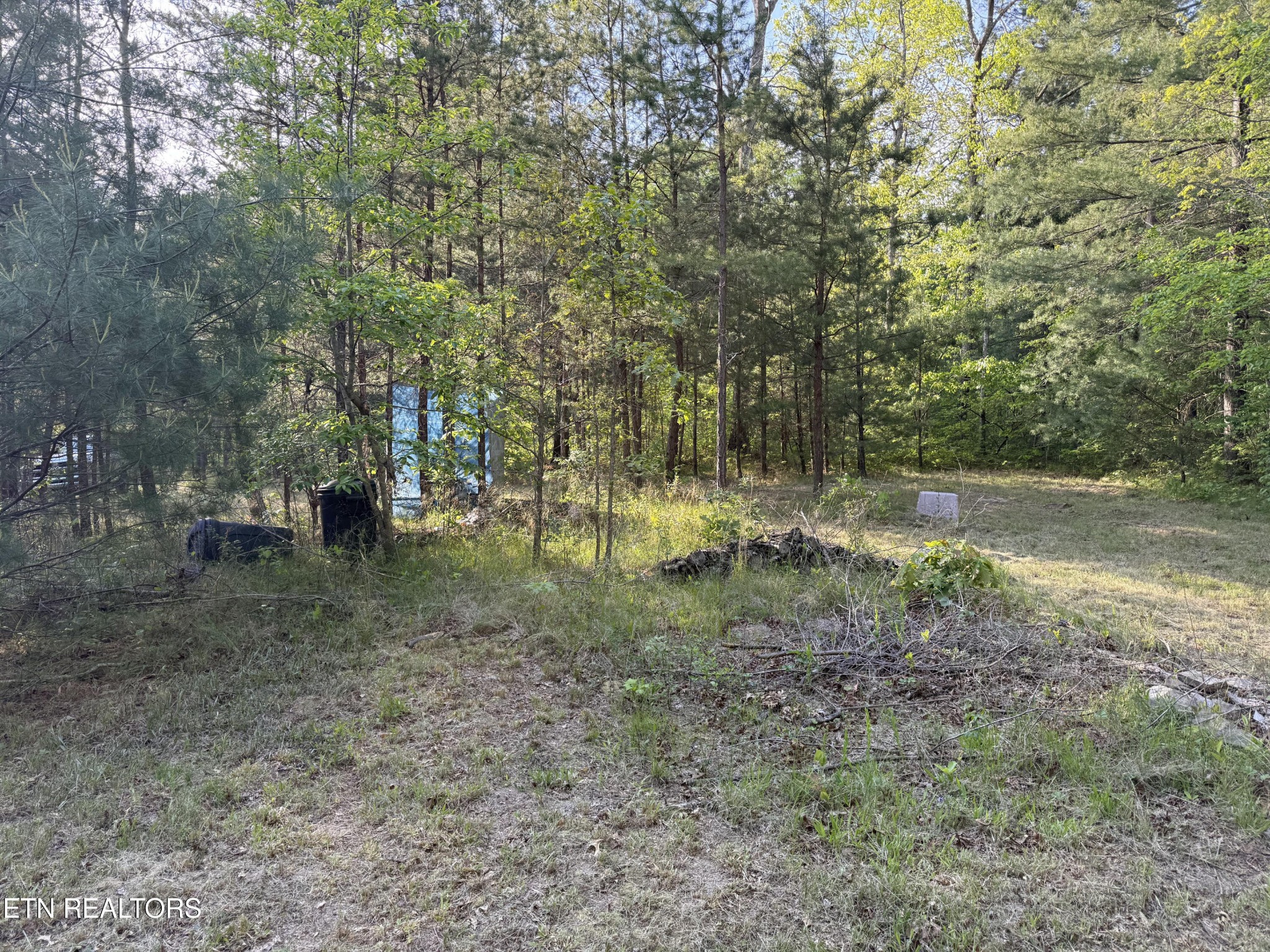 0 Genesis Road Crossville, TN 38555 - Photo 3 of 15